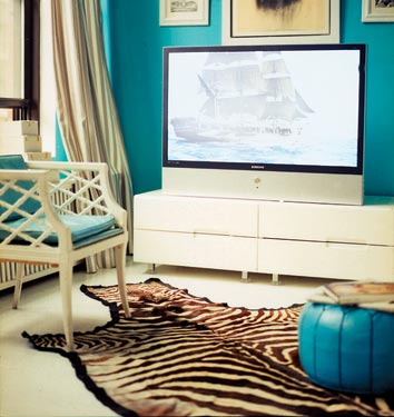 The turquoise is stunning on the zebra rug: